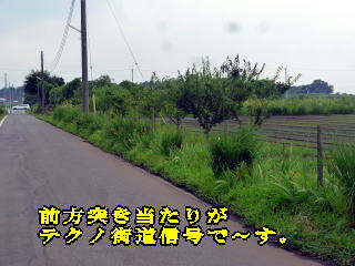 O˂肪 eNmXMŁ`B