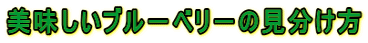 u|x|̌