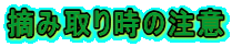 Eݎ莞̒