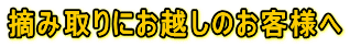 Eݎɂẑql